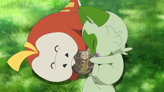 ポケットモンスター（2023） 第13話「ピクニックは突然に」のサムネイル